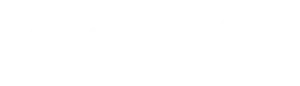 Logo com email